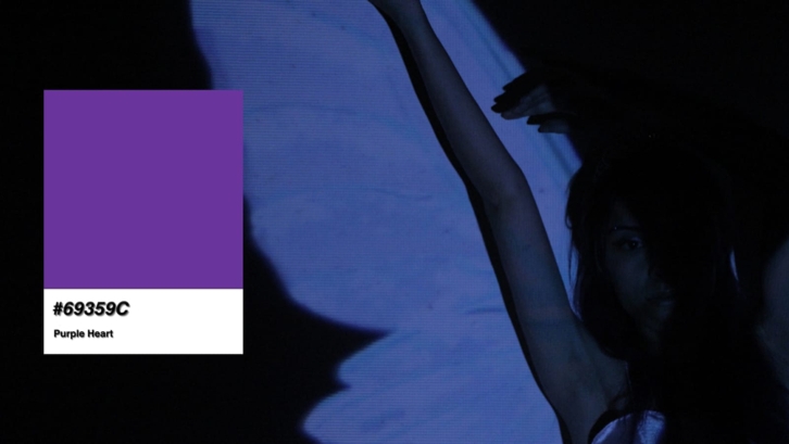 purpleweb2.jpeg
