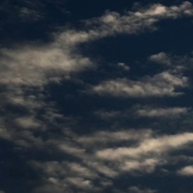 BRUITTX-TRANSPORTES Luis Marisquirena.jpg