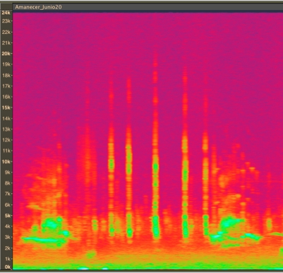 Captura de pantalla 2025-10-19 a la(s) 02.05.38.png