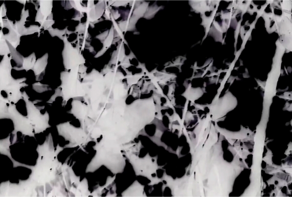 &Agrave; Revelia - Rodrigo Ramos.png